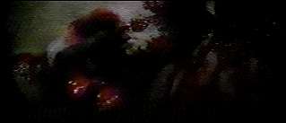 Gead face of the victim of killer spiders (3767 bytes)