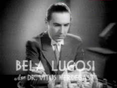 Bela Lugosi as Vitus Werdegast