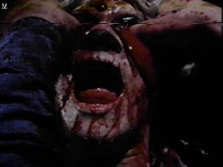 from THE EVIL DEAD