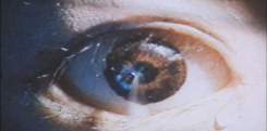 edteye_01.jpg