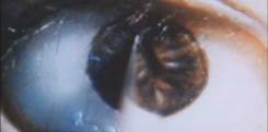 edteye_04.jpg
