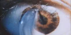 edteye_05.jpg