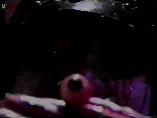 Guinea Pig- THE FLOWER OF FLESH AND BLOOD
